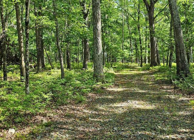 Property at 157 Mountain Top Rd, Lackawaxen, PA 18435