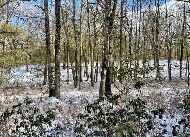 Property at 209 Laurel Dr, Shohola, PA 18458