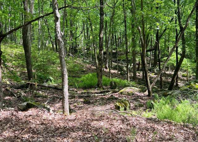 Property at 806 Conestoga Ct, Lords Valley, PA 18428