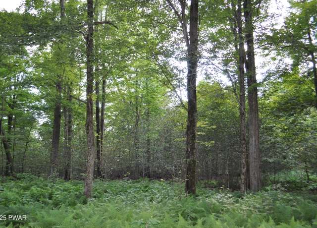 Property at Bryn Mawr Rd, Honesdale, PA 18431