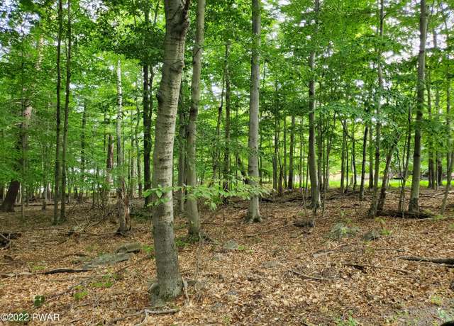 Property at Lot 686A Hickory Ln, Greentown, PA 18426