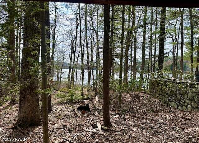 Property at 287 Rte 390, Tafton, PA 18464