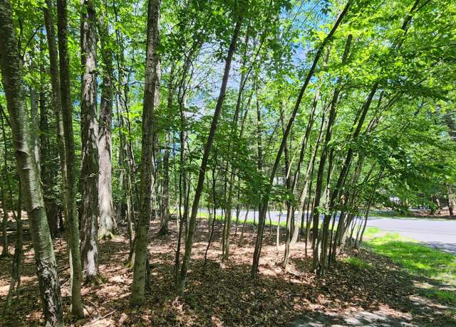 Property at 145 & 146 Indian Dr, Greentown, PA 18426