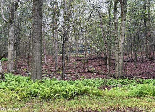 Property at Lot 26 Raintree Rd, Newfoundland, PA 18445
