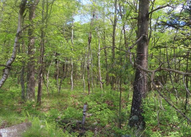 Property at Lot 45.06 Heaters Hill Rd, Matamoras, PA 18336