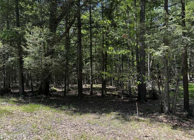 Property at Lot 826 Fawn Rd And Lot 824 Pine Creek Rd, Hawley, PA 18428