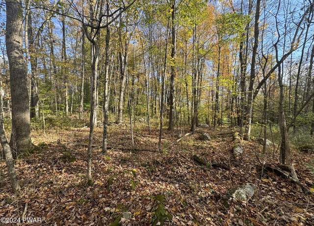 Property at Rt. 196 Easton Tpke, Lake Ariel, PA 18436