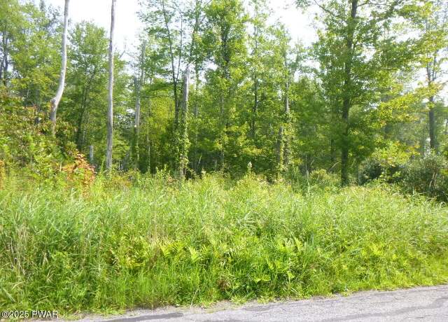 Property at TR 401 Swoyer Rd, Jefferson Township, PA 18436
