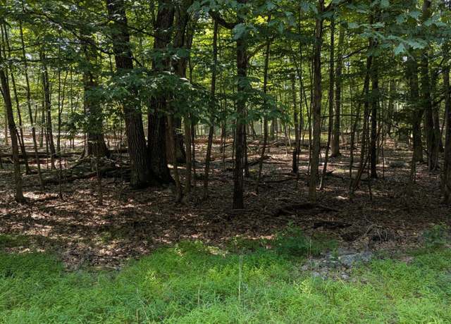 Property at 620 Play Ground Trl, Hawley, PA 18436