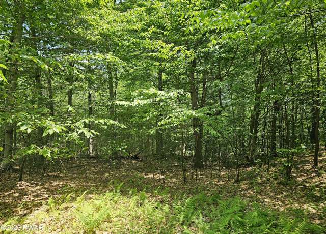 Property at Lot 69 Stonegate Rd, Equinunk, PA 18417