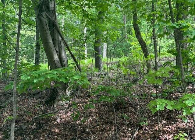 Property at Lot #8 Mill Creek Rd, Newfoundland, PA 18445