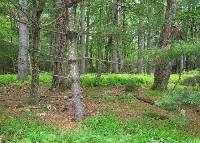 Property at Lot #97 S Nichecronk Rd, Dingmans Ferry, PA 18328