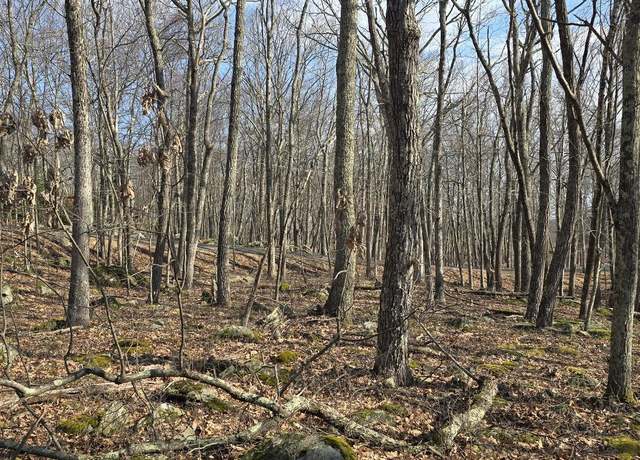 Property at Cowaw Rd, Milford, PA 18337
