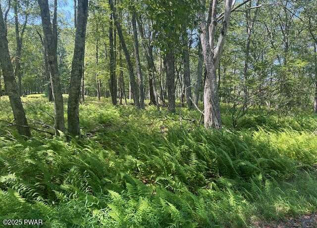 Property at Lot 3810 Floyd Ct, Milford, PA 18337