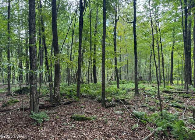 Property at Racht Rd, Honesdale, PA 18431