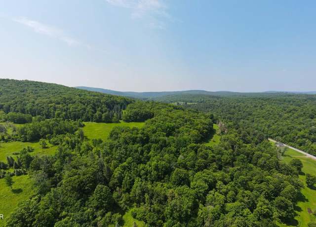Property at 1064 Pine Mill Rd, Equinunk, PA 18417, 4 beds, 2 baths