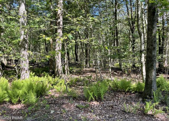 Property at Huckleberry Rd, Newfoundland, PA 18445