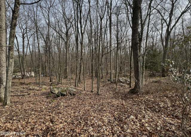 Property at Paper Birch N, Tafton, PA 18464