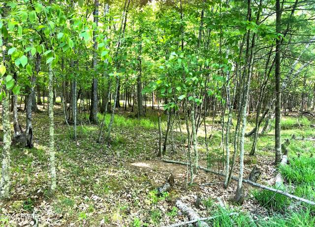 Property at 58 Hawks Nest Dr, Hawley, PA 18428