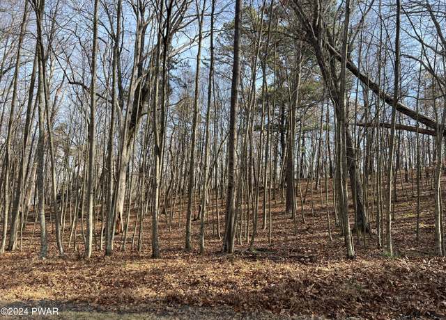 Property at 180-181 Pheasant Run, Bushkill, PA 18324