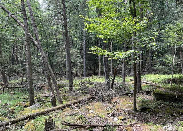 Property at Lot 75 Happy Hollow Dr, Shohola, PA 18458