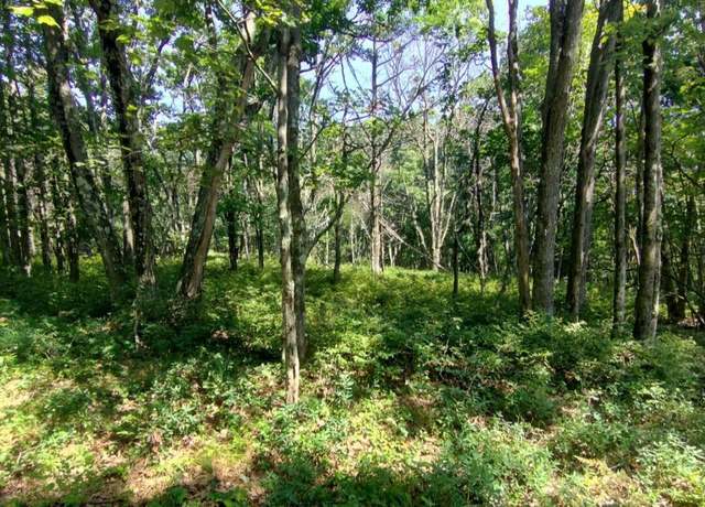 Property at 146 Plateau Dr, Lackawaxen, PA 18435