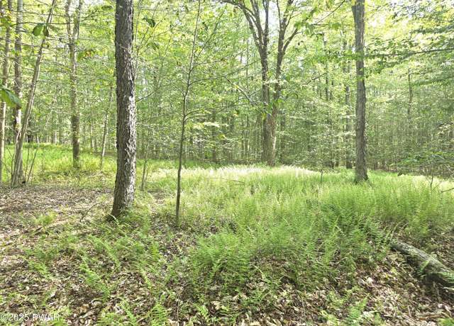 Property at Lot #1 Pa-370, Poyntelle, PA 18454
