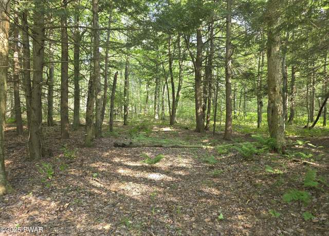 Property at Lot #2 Pa- 370, Poyntelle, PA 18454