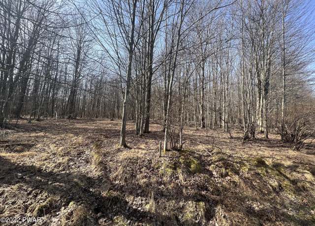 Property at LOT 394 Snowshoe Cir, Lake Ariel, PA 18436