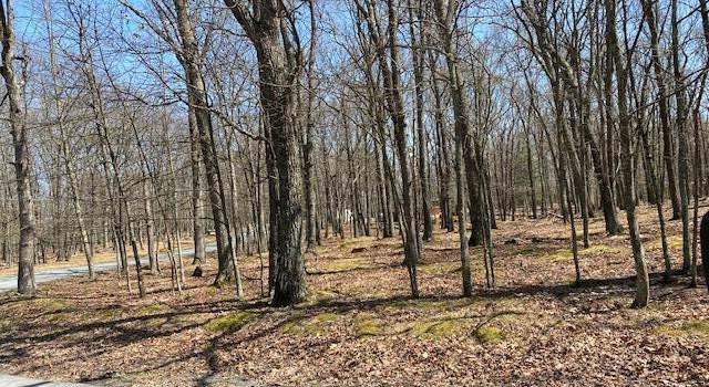 Photo of Lot 90 Deer Trail Dr, Hawley, PA 18428