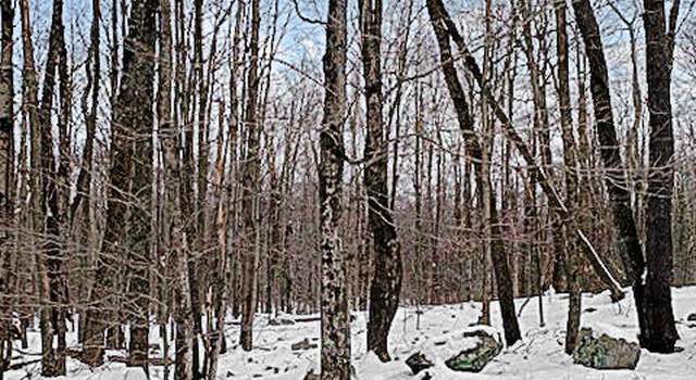 Photo of 120 Antler Dr, Canadensis, PA 18325