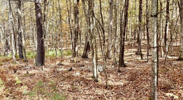 Photo of 45 Hawks Nest/route 590, Hawley, PA 18428