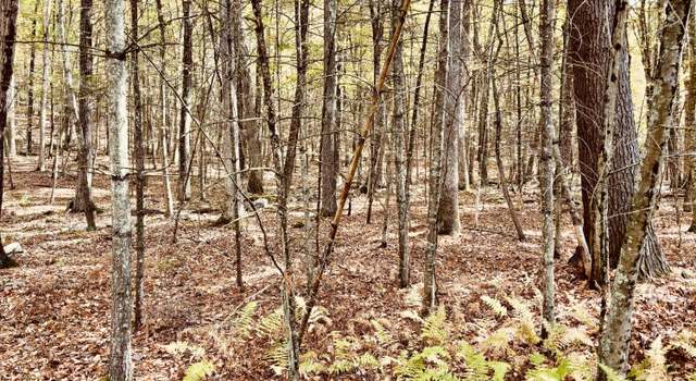 Photo of 45 Hawks Nest/route 590, Hawley, PA 18428