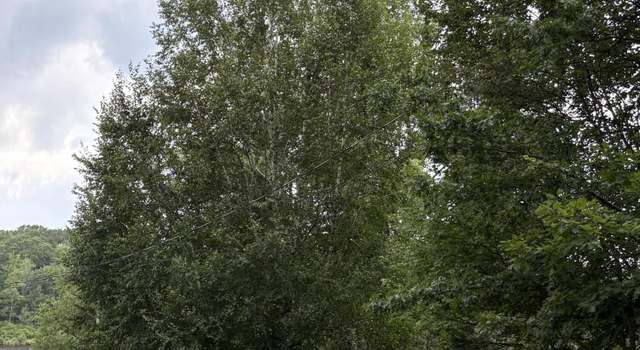 Photo of Lot 15 Northwood Rd, Dingmans Ferry, PA 18328