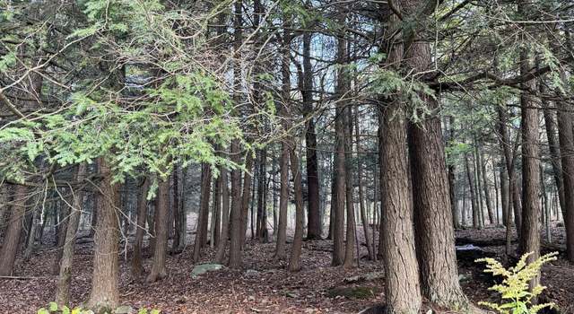 Photo of Turner Ct, Pleasant Mount, PA 18453