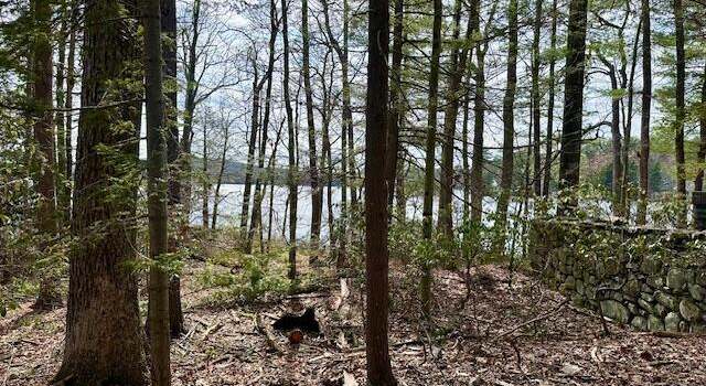 Photo of 287 Rte 390, Tafton, PA 18464
