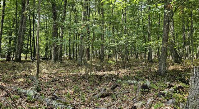 Photo of Lot 20 Cove Point Cir, Lakeville, PA 18438