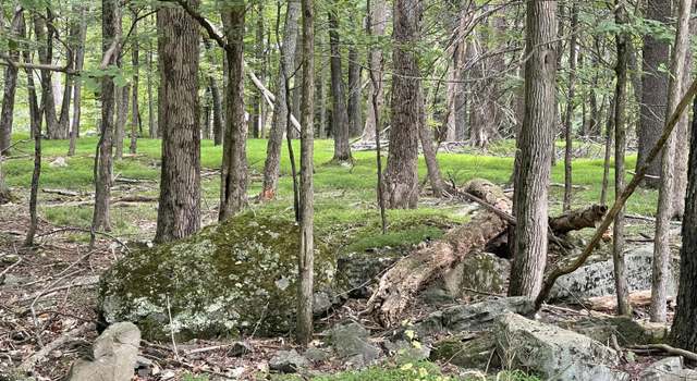 Photo of Lot 568 Sunrise Trl, Hawley, PA 18428