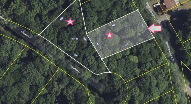 Photo of LOT 103 Wallenpaupack Drive Dr, Greentown, PA 18426