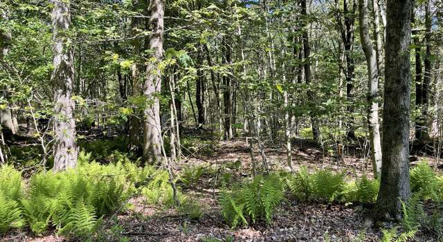 Photo of Huckleberry Rd, Newfoundland, PA 18445