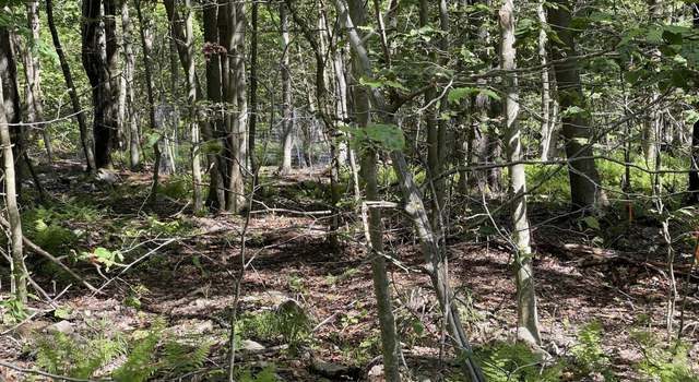Photo of Huckleberry Rd, Newfoundland, PA 18445