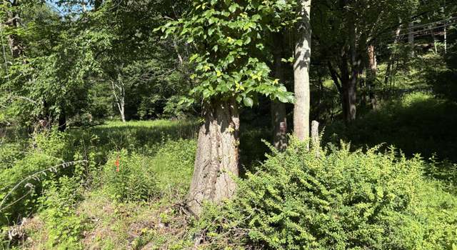 Photo of Lot 3 Mountain Ave, Matamoras, PA 18336