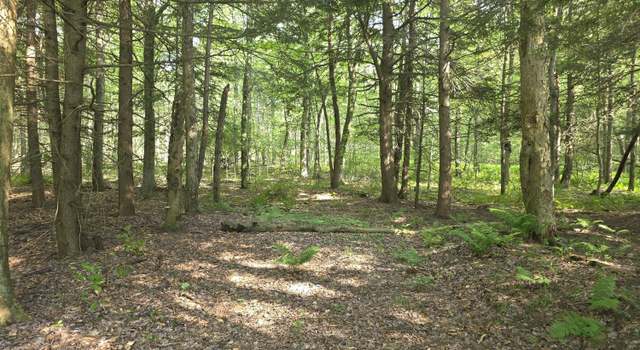 Photo of Lot #2 Pa- 370, Poyntelle, PA 18454