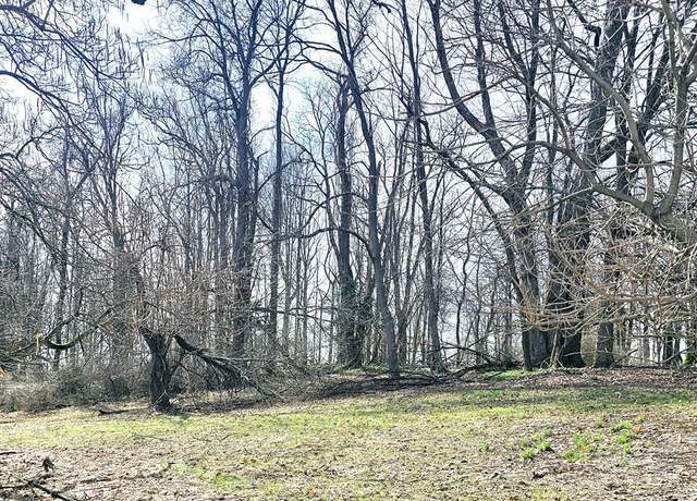 Property at Mccaffrey Ln, Johnstown, PA 15905