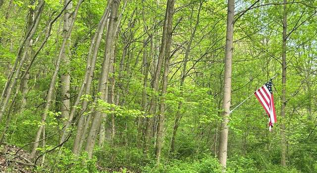 Photo of Bethel Dr, Hollsopple, PA 15935