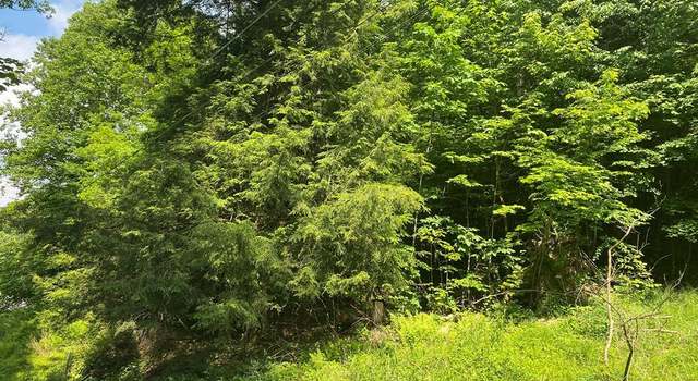 Photo of Pleasant View Dr, Johnstown, PA 15905