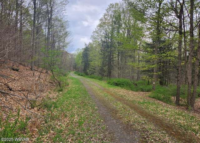 Property at Woodland Dr, Eagles Mere, PA 17731