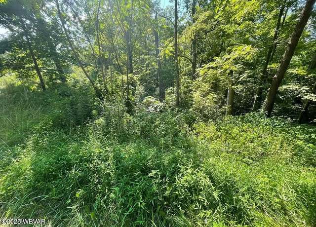 Property at PARCEL 1-47 Berry Rd, Beech Creek, PA 16822