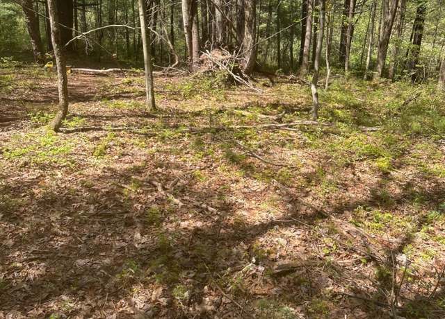 Property at 110 A 4th Gap RD St, Allenwood, PA 17810