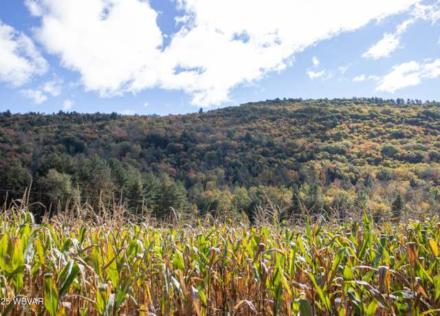 Property at 0001 State Route 87 Lot 26, Forksville, PA 18616